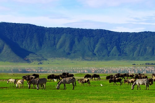5-days-lake-manyara-serengeti-national-park-and-ngorongoro-crater-budget-safar